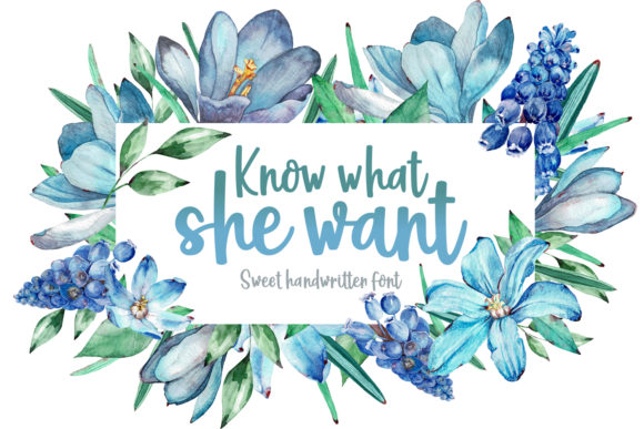 Know What She Want Font Review
