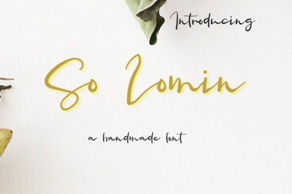 So Lomin: A Bold Handwritten Font